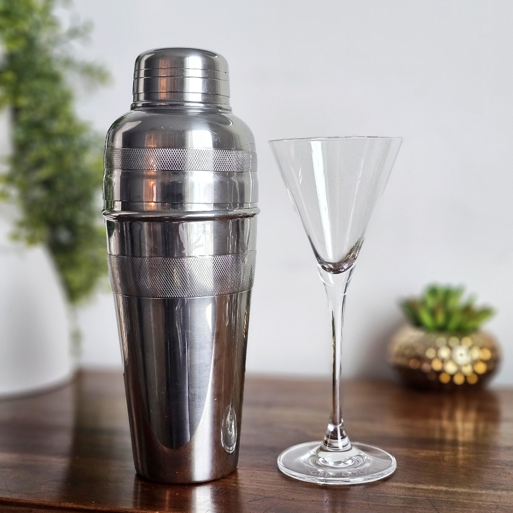 Grey Goose Vodka Stainless Steel Cocktail Shaker & Martini Glass Set Barware